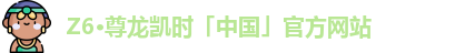 z6com尊龙凯时官方